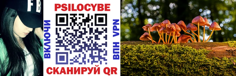 Купить  Россошь  Галлюциногенные грибы ЛСД 
