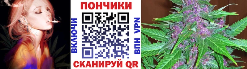 Конопля планчик  Купить закладки  Россошь 